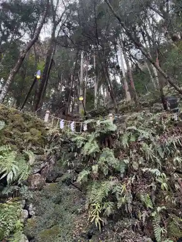 貴船神社の{uncategorized: "未分類", other: "その他", undefined: "問題あり", building: "その他建物", grave: "お墓", sacred_gate: "鳥居", guardian: "狛犬", statue: "像", buddha: "仏像", history: "歴史", nature: "自然", garden: "庭園", animal: "動物", pagoda: "塔", temizu: "手水舎", mountain_gate: "山門・神門", sanctuary: "本殿・本堂", subordinate: "末社・摂社", art: "芸術", scenery: "景色", jizo: "地蔵", ema: "絵馬", goshuin: "御朱印", omikuji: "おみくじ", items: "授与品その他", amulet: "お守り", goshuincho: "御朱印帳", eats: "食事", festival: "お祭り", votive_dance: "神楽", shichigosan: "七五三参", wedding: "結婚式", experience: "体験その他", initially: "初詣", around: "周辺", anti_infection: "感染症対策"}