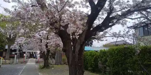 鶴峯八幡宮の自然
