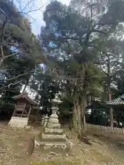 大歳神社(兵庫県)