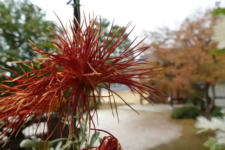 大覚寺のその他建物