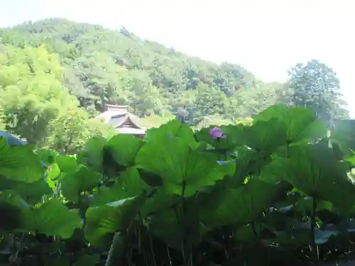 久昌寺(埼玉県)