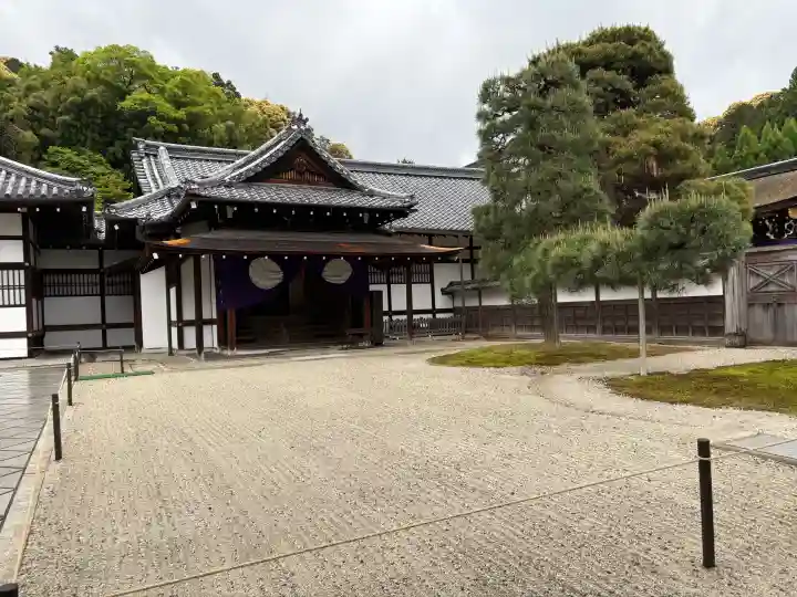御寺 泉涌寺の{uncategorized: "未分類", other: "その他", undefined: "問題あり", building: "その他建物", grave: "お墓", sacred_gate: "鳥居", guardian: "狛犬", statue: "像", buddha: "仏像", history: "歴史", nature: "自然", garden: "庭園", animal: "動物", pagoda: "塔", temizu: "手水舎", mountain_gate: "山門・神門", sanctuary: "本殿・本堂", subordinate: "末社・摂社", art: "芸術", scenery: "景色", jizo: "地蔵", ema: "絵馬", goshuin: "御朱印", omikuji: "おみくじ", items: "授与品その他", amulet: "お守り", goshuincho: "御朱印帳", eats: "食事", festival: "お祭り", votive_dance: "神楽", shichigosan: "七五三参", wedding: "結婚式", experience: "体験その他", initially: "初詣", around: "周辺", anti_infection: "感染症対策"}