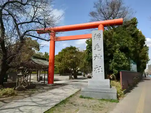 稲毛神社の鳥居