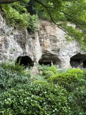 報国寺(神奈川県)