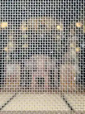 宗泉寺(栃木県)