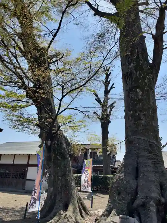 八枝神社(埼玉県)