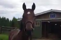 遠浅神社(北海道)