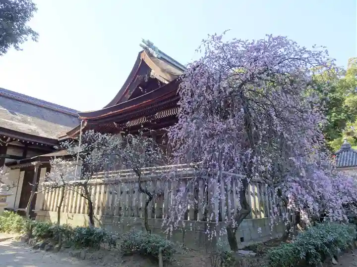 道明寺天満宮(大阪府)