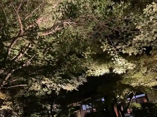 圓徳院(京都府)