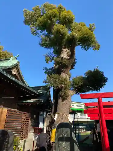 五方山熊野神社の{uncategorized: "未分類", other: "その他", undefined: "問題あり", building: "その他建物", grave: "お墓", sacred_gate: "鳥居", guardian: "狛犬", statue: "像", buddha: "仏像", history: "歴史", nature: "自然", garden: "庭園", animal: "動物", pagoda: "塔", temizu: "手水舎", mountain_gate: "山門・神門", sanctuary: "本殿・本堂", subordinate: "末社・摂社", art: "芸術", scenery: "景色", jizo: "地蔵", ema: "絵馬", goshuin: "御朱印", omikuji: "おみくじ", items: "授与品その他", amulet: "お守り", goshuincho: "御朱印帳", eats: "食事", festival: "お祭り", votive_dance: "神楽", shichigosan: "七五三参", wedding: "結婚式", experience: "体験その他", initially: "初詣", around: "周辺", anti_infection: "感染症対策"}