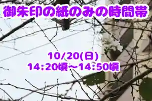 くまくま神社(導きの社 熊野町熊野神社)(東京都) 2024年10月20日(日)〜(2024年10月19日(土) 19時00分22秒投稿)