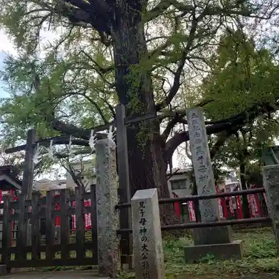 法明寺の自然