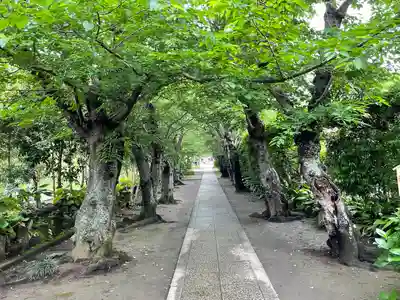極楽寺（霊鷲山感應院極楽律寺）のその他建物