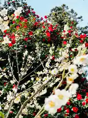 守りの神　藤基神社(新潟県)