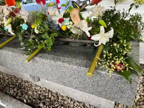 生田神社(兵庫県)