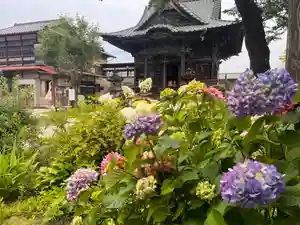 秩父札所十三番 慈眼寺(埼玉県)(2023年06月08日(木) 13時05分30秒投稿)