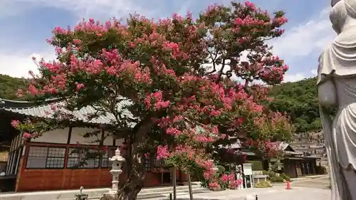 明鏡山龍雲寺の庭園