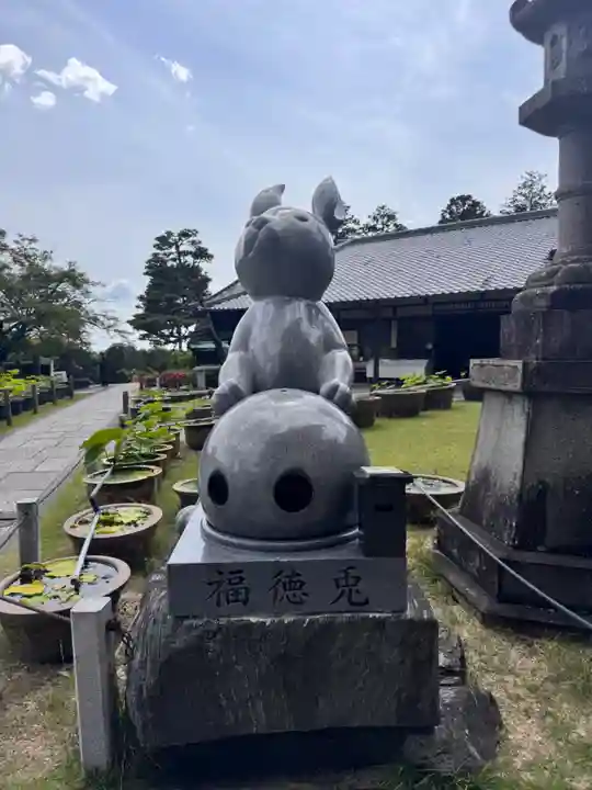 三室戸寺(京都府)
