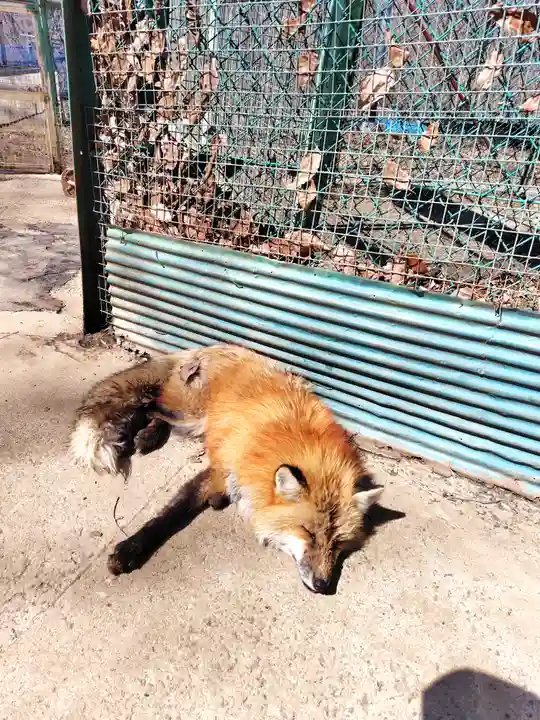 御金稲荷神社(宮城県)