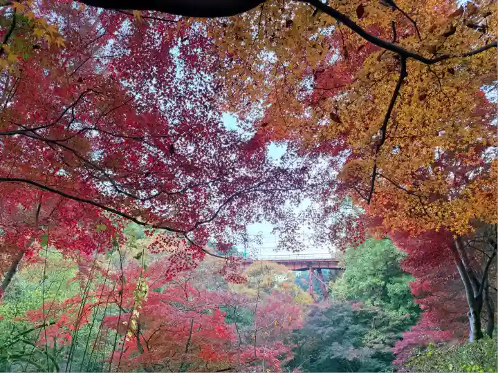神應寺(京都府)