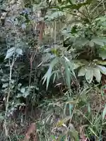 山王神社の自然