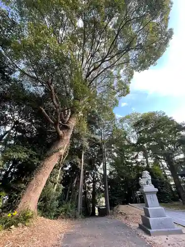 八剱神社のその他建物