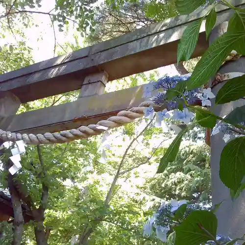 越谷香取神社の鳥居