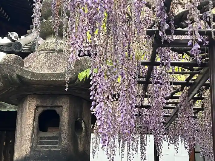 六孫王神社(京都府)