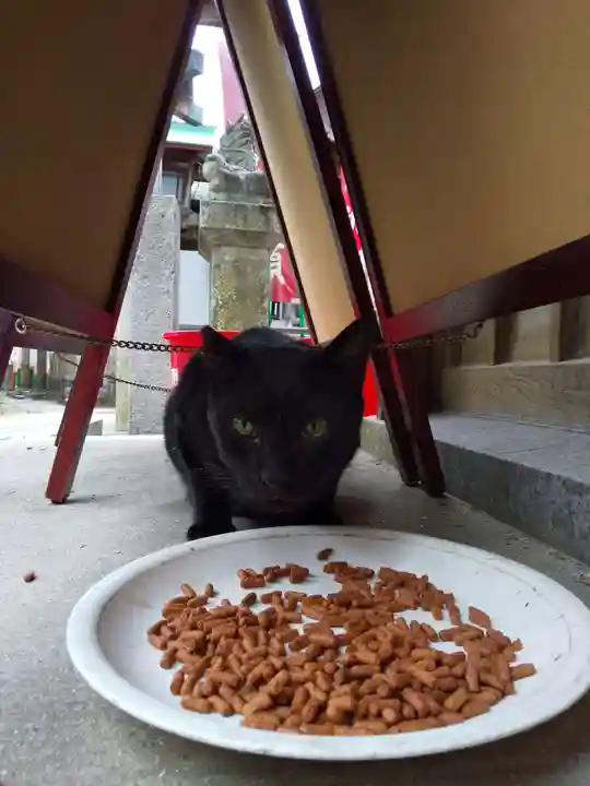 伏見豊川稲荷本宮(京都府)