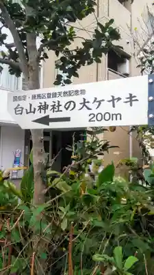 白山神社の周辺