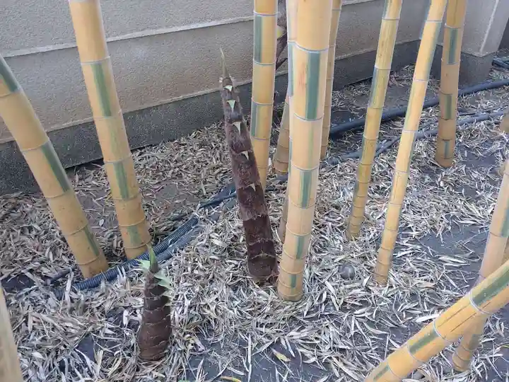 梅窓院(東京都)