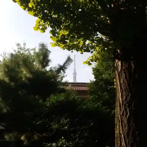 亀戸 香取神社のその他建物