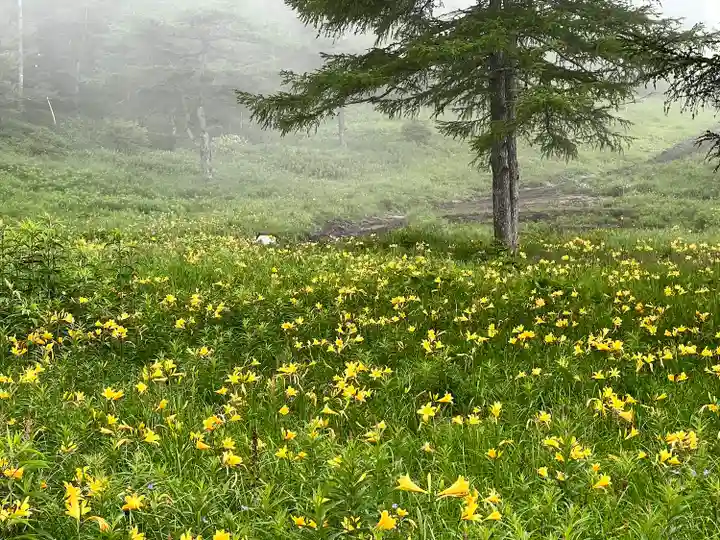 山の神神社の自然