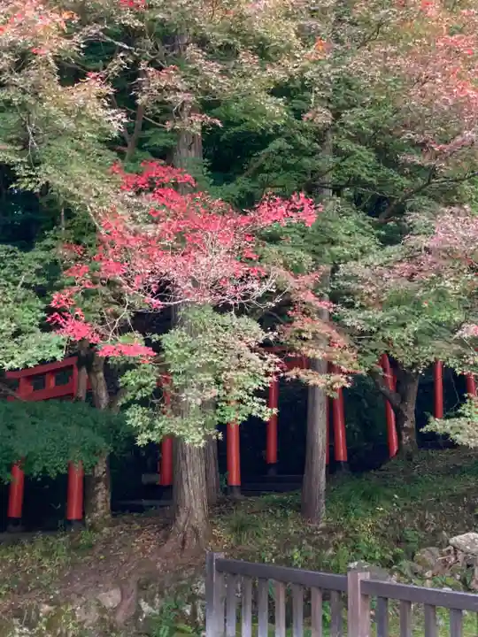 有子山稲荷神社(兵庫県)