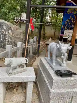 白峯神宮の狛犬