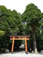 霧島神宮(鹿児島県)