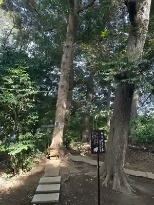 鶴嶺八幡宮の{uncategorized: "未分類", other: "その他", undefined: "問題あり", building: "その他建物", grave: "お墓", sacred_gate: "鳥居", guardian: "狛犬", statue: "像", buddha: "仏像", history: "歴史", nature: "自然", garden: "庭園", animal: "動物", pagoda: "塔", temizu: "手水舎", mountain_gate: "山門・神門", sanctuary: "本殿・本堂", subordinate: "末社・摂社", art: "芸術", scenery: "景色", jizo: "地蔵", ema: "絵馬", goshuin: "御朱印", omikuji: "おみくじ", items: "授与品その他", amulet: "お守り", goshuincho: "御朱印帳", eats: "食事", festival: "お祭り", votive_dance: "神楽", shichigosan: "七五三参", wedding: "結婚式", experience: "体験その他", initially: "初詣", around: "周辺", anti_infection: "感染症対策"}