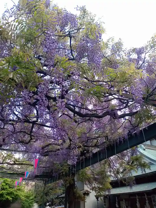 國領神社(東京都)