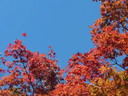 報徳二宮神社(神奈川県)