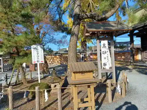 阿蘇神社(熊本県)