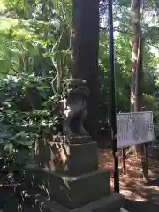 岩槻久伊豆神社の狛犬