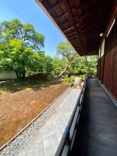 相国寺（相国承天禅寺）(京都府)