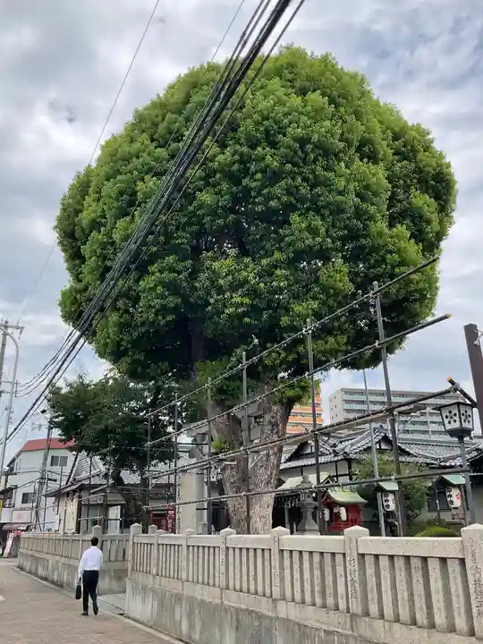 三先天満宮(大阪府)