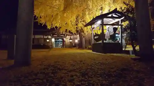 丹生酒殿神社の自然