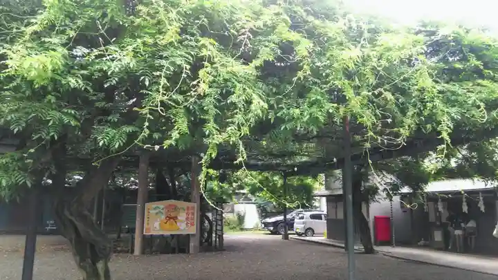 國領神社の自然