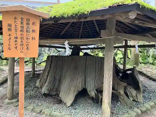 大神神社の自然