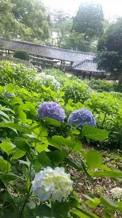 吉備津神社(岡山県)