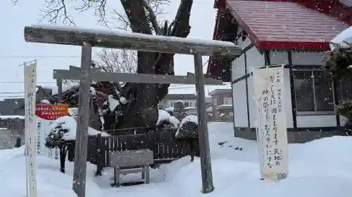 一本栗地主神社の{uncategorized: "未分類", other: "その他", undefined: "問題あり", building: "その他建物", grave: "お墓", sacred_gate: "鳥居", guardian: "狛犬", statue: "像", buddha: "仏像", history: "歴史", nature: "自然", garden: "庭園", animal: "動物", pagoda: "塔", temizu: "手水舎", mountain_gate: "山門・神門", sanctuary: "本殿・本堂", subordinate: "末社・摂社", art: "芸術", scenery: "景色", jizo: "地蔵", ema: "絵馬", goshuin: "御朱印", omikuji: "おみくじ", items: "授与品その他", amulet: "お守り", goshuincho: "御朱印帳", eats: "食事", festival: "お祭り", votive_dance: "神楽", shichigosan: "七五三参", wedding: "結婚式", experience: "体験その他", initially: "初詣", around: "周辺", anti_infection: "感染症対策"}