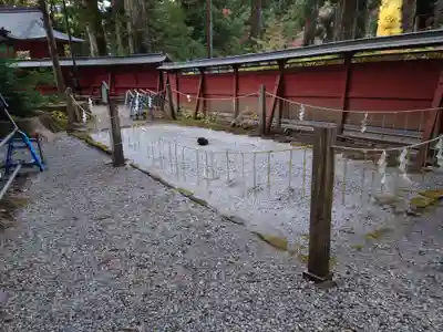 日光二荒山神社(栃木県)