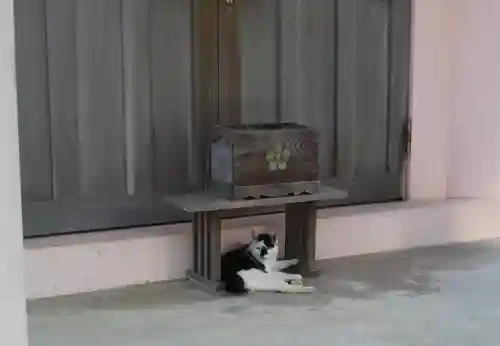屋久島大社の動物